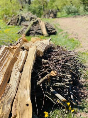 Totholzhaufen im Insektenland
