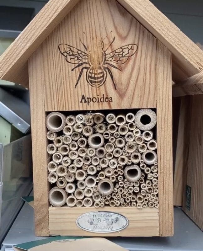 Insektenhotel Oder Wildbienennisthilfe? 9 IMG 7144