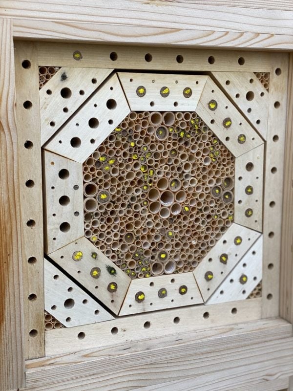 Wildbienennisthilfe mit Markierung der verschlossenen Niströhren