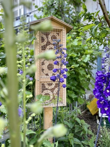 Insektenhotel kaufen - Deko für den Garten!