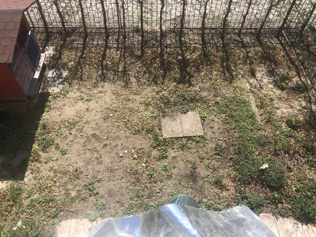 insektenfreundlicher Garten geht anders