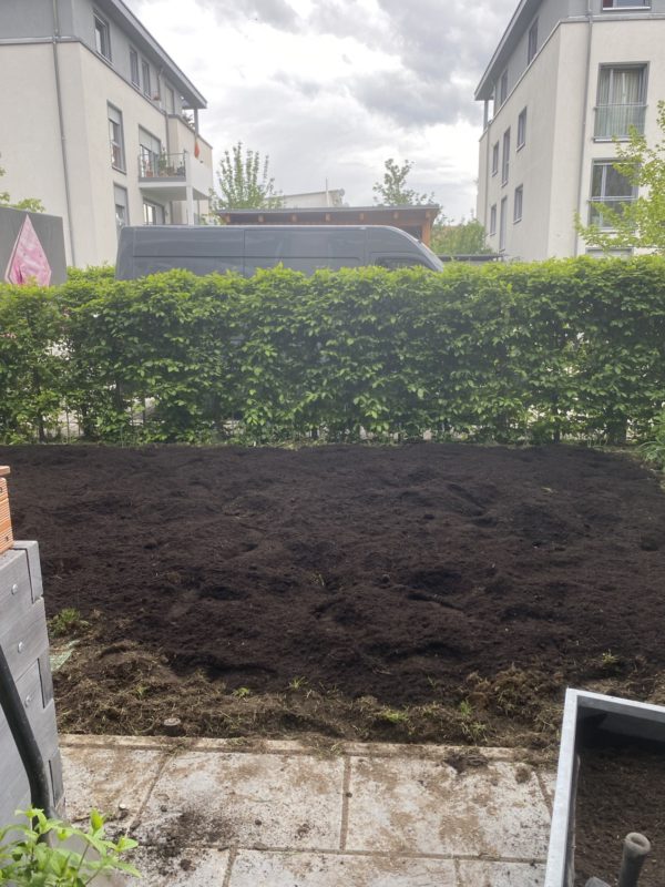 insektenfreudlicher Garten in Progress