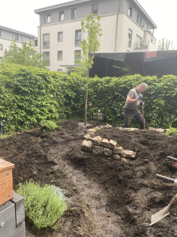 insektenfreundlicher Garten im Aufbau