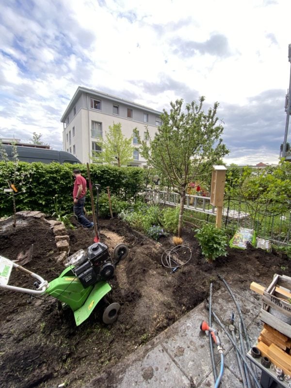 insektenfreundlicher Garten im Aufbau
