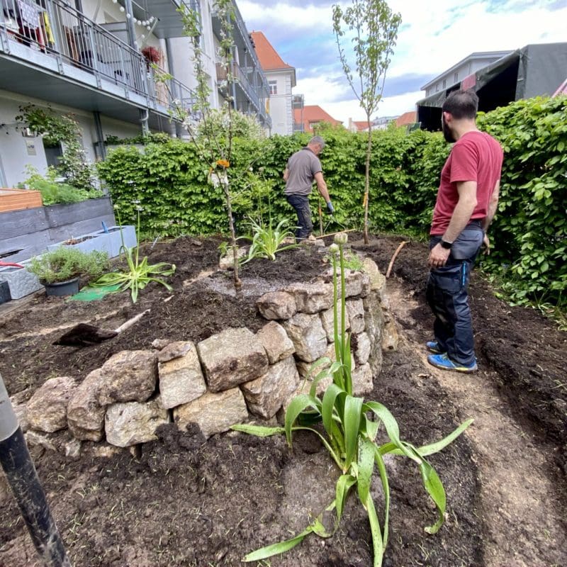 insektenfreundlicher Garten im Aufbau