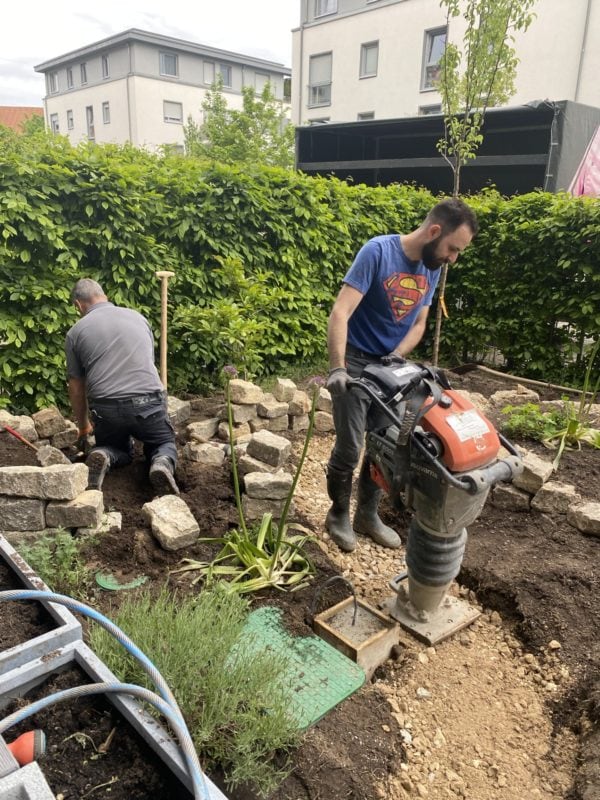 insektenfreundlicher Garten im Aufbau