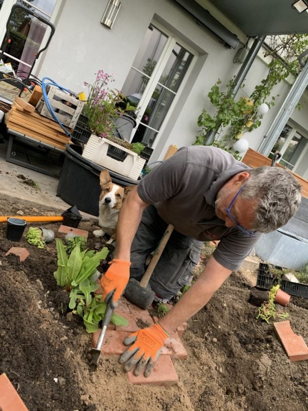 insektenfreundlicher Garten im Aufbau