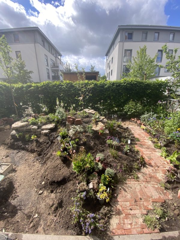 insektenfreundlicher Garten im Aufbau
