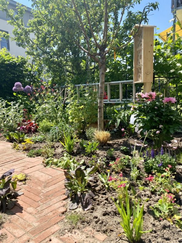 insektenfreundlicher Garten