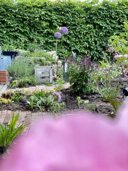 Vom Rollrasen zum Naturgarten