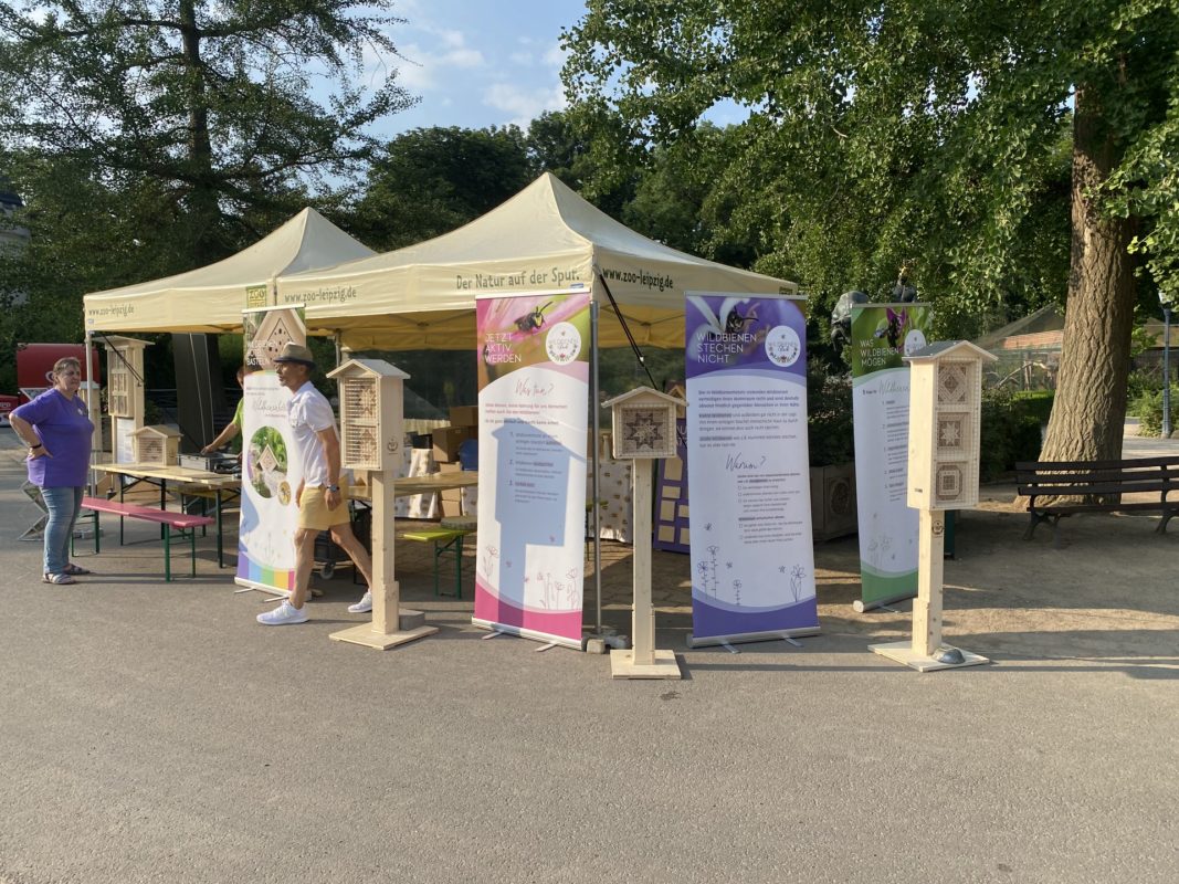 Wildbienenglück im Zoo Leipzig