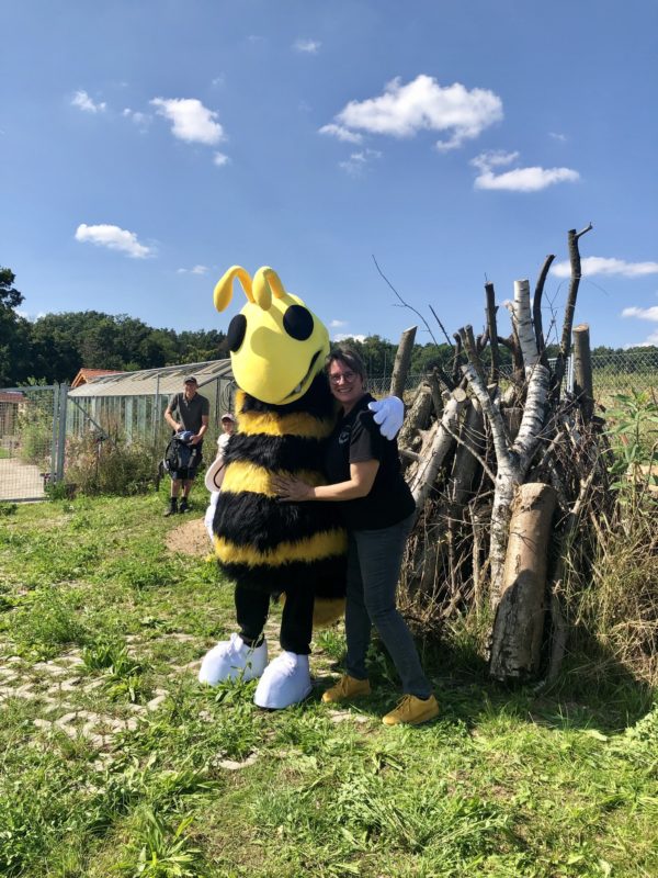 Wildbienenglück Maskottchen Summsi