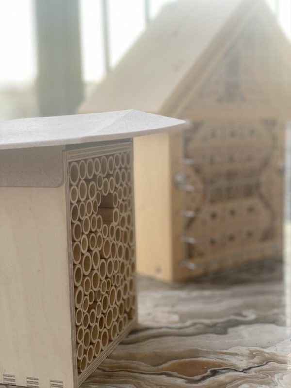 Beehome und Bienenspaß