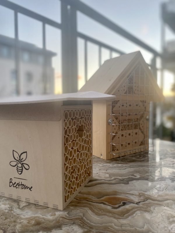 Beehome und Bienenspaß