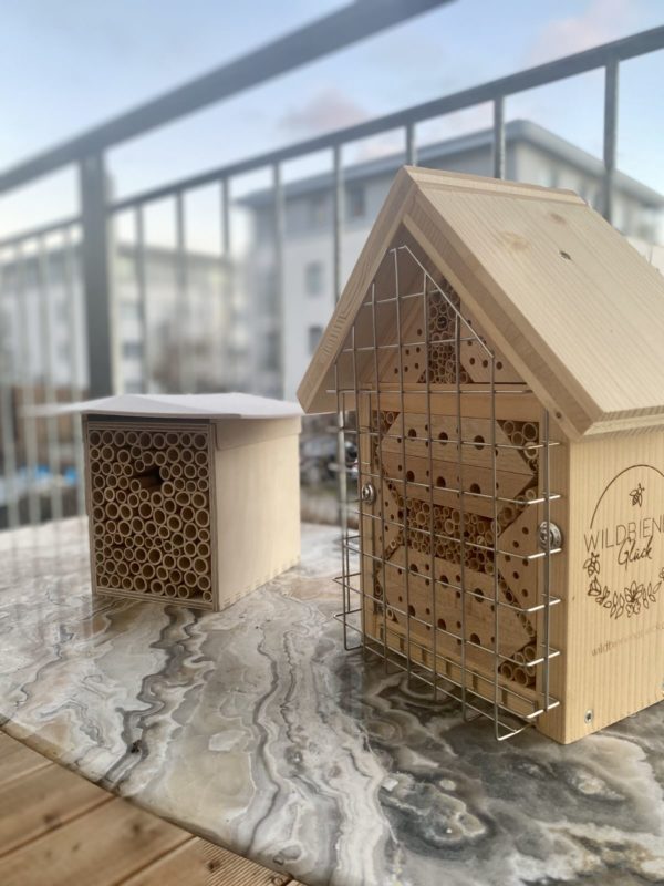 Beehome und Bienenspaß