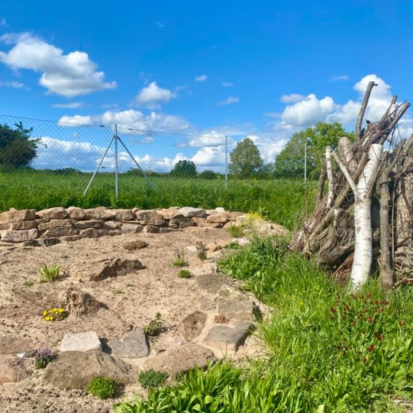 Wildtier Herz höher schlagen lassen
