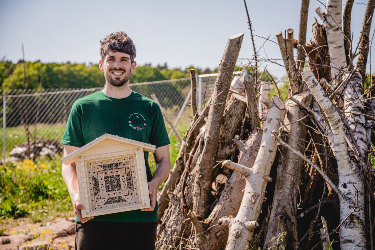Insektenhotel Wildbienenglück BienenTempel